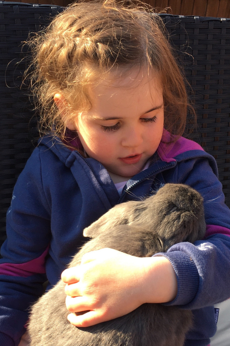 A little girl wearing a purple and pink jacket is pictured holding a rabbit