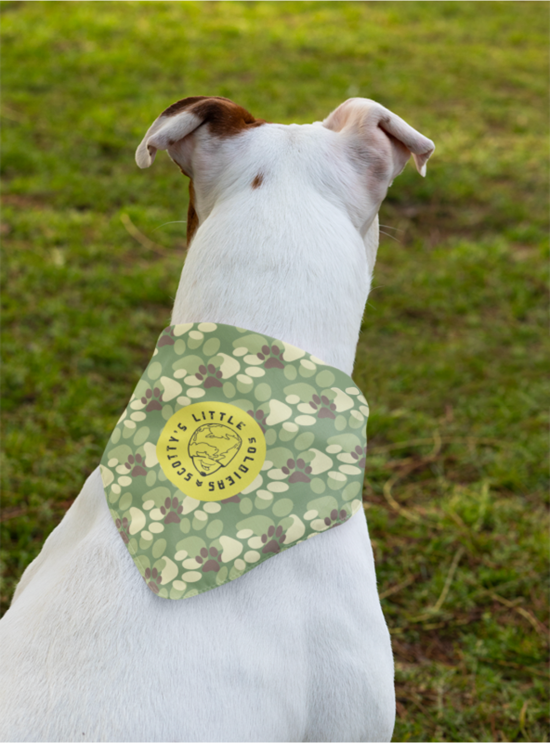 Another dog modeling the Woof Walk bandana